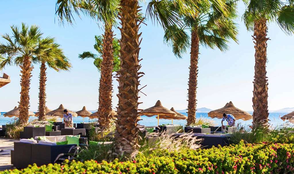 Baron Resort Sharm El Sheikh (Adults Only) Natuur foto